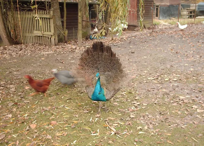 Le De Lola Saint-Michel (Aisne)