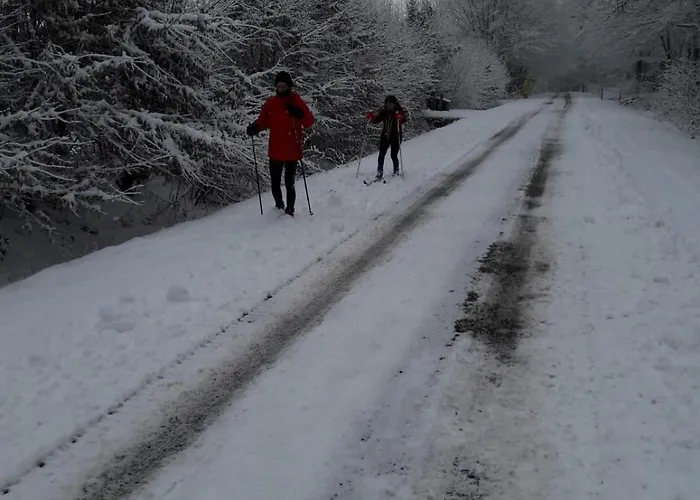 Camping Le De Lola *